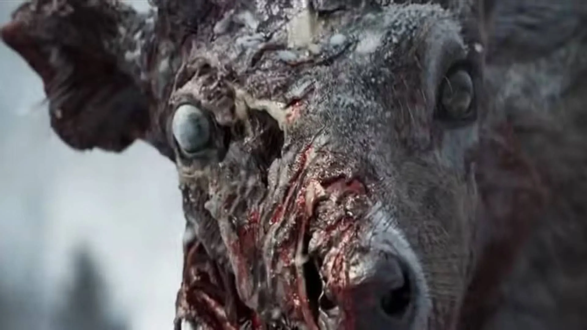 伦纳德连续,表现,刷新个人生,JBO竞博官网,JBO竞博官网入口,JBO竞博网站,JBO竞博官网娱乐,JBO竞博,JBO竞博登录入口